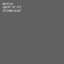 #616161 - Storm Dust Color Image